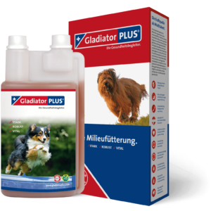 GladiatorPLUS_Hund