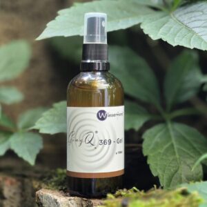 GingQ 369-Gel