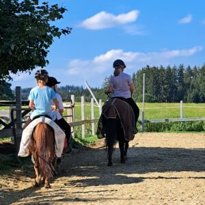 Kinder reiten auf Ponies